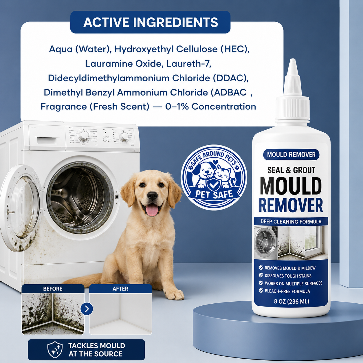 Black Mould Gel