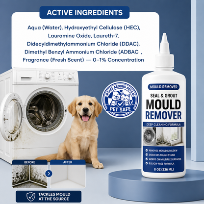 Black Mould Gel