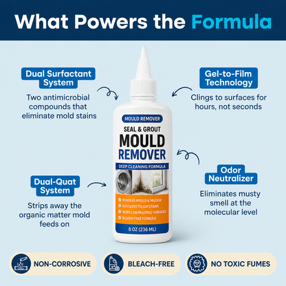 Black Mould Gel
